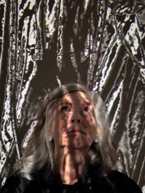 New York in March Part 2