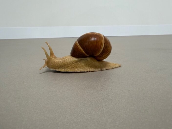 Basel Digest: Still at it (day4)