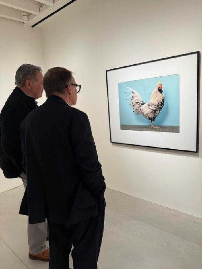 Notes on London Life: Oct 2025