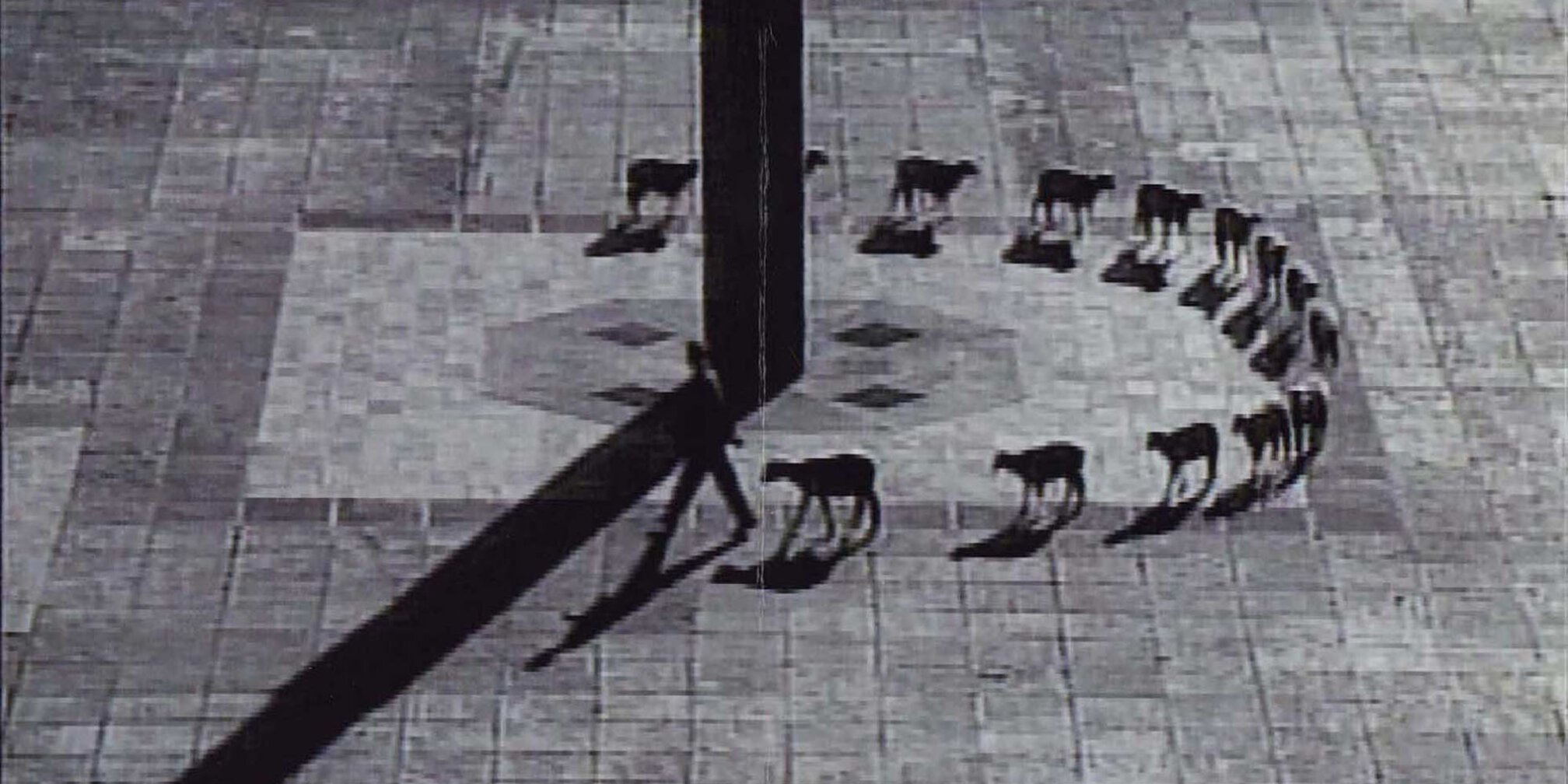 Francis Alÿs at Serlachius Headquarters, Finland