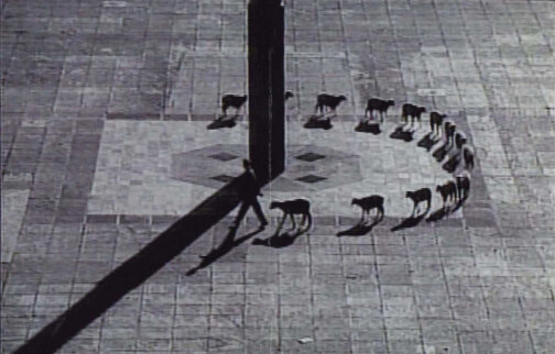Francis Alÿs at Serlachius Headquarters, Finland