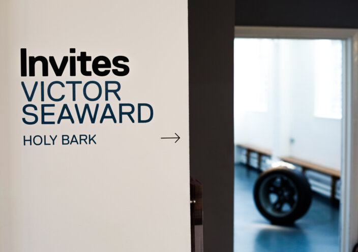 Zabludowicz Collection Invites: Victor Seaward