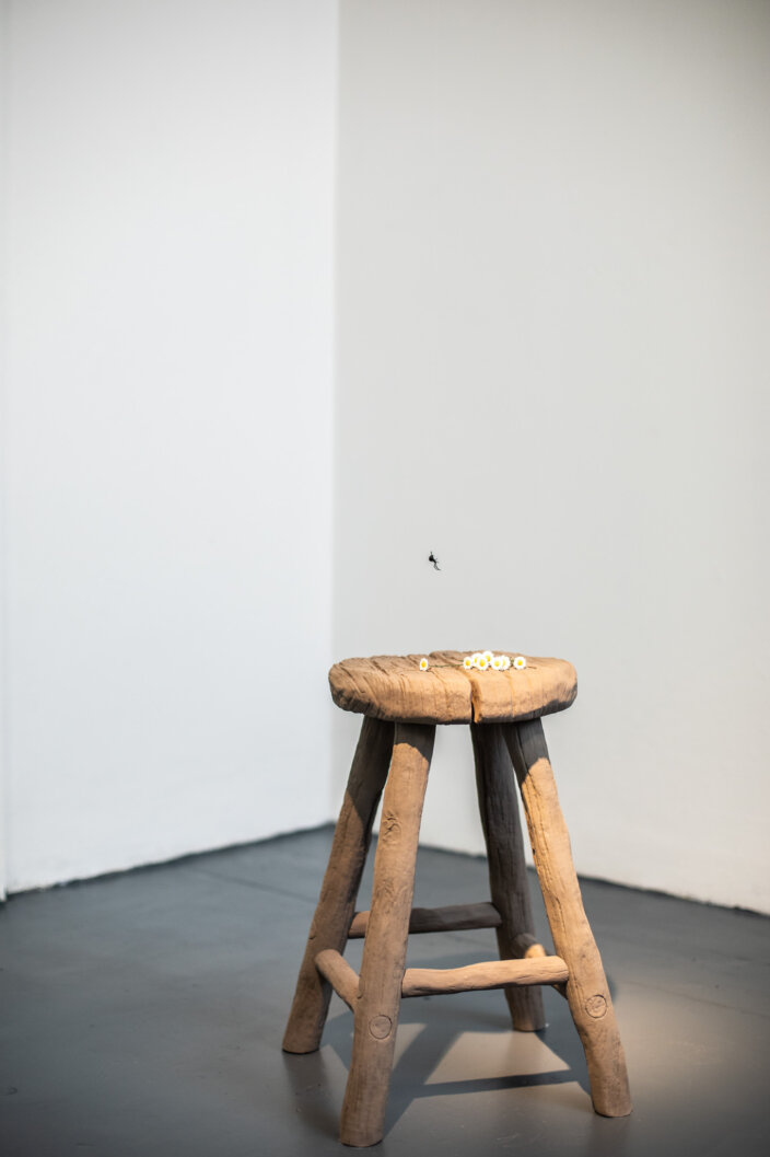 Zabludowicz Collection Invites: Victor Seaward