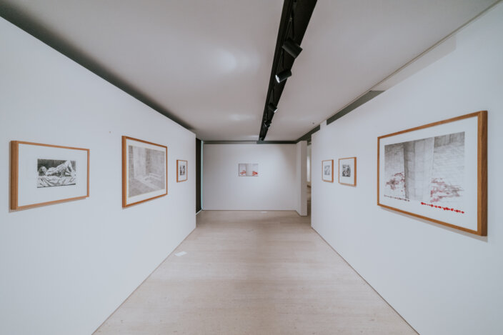 Adriana Varejão at the Centro de Arte Moderna Gulbenkian, Portugal