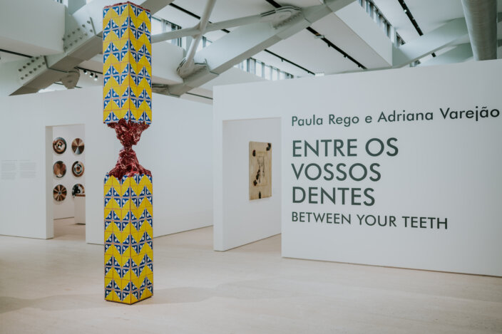 Adriana Varejão at the Centro de Arte Moderna Gulbenkian, Portugal