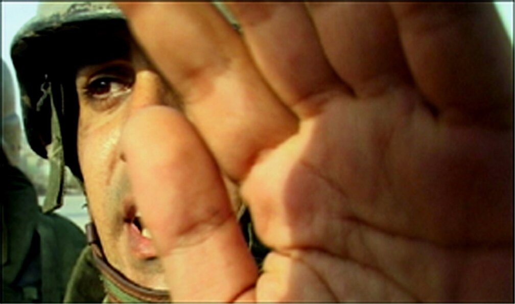 Collection Artists at the 61st Venice Biennale